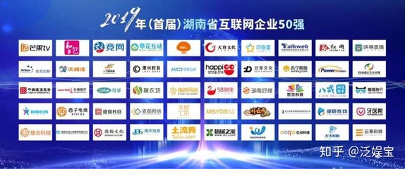 搜云科技荣获&ldquo;湖南互联网50强企业&rdquo;称号