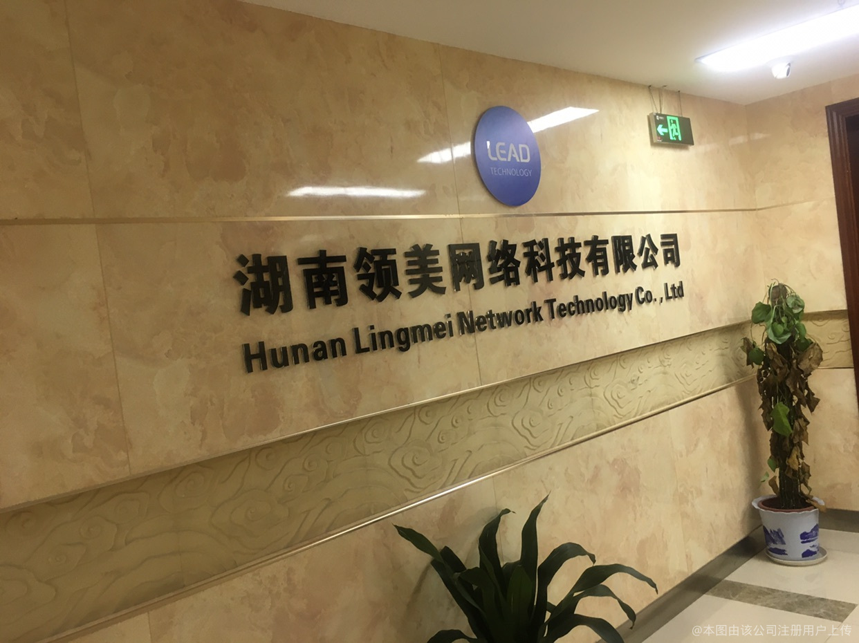 湖南领美网络科技